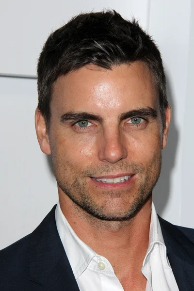 Colin Egglesfield at Audi Celebrates Emmys Week 2015 — Stockfoto