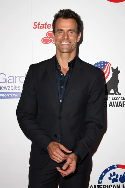 Cameron mathison - Schauspieler — Stockfoto