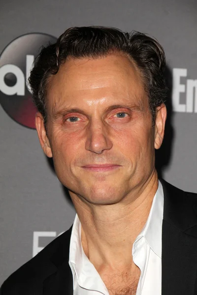 Tony Goldwyn at the TGIT Premiere — Stok fotoğraf