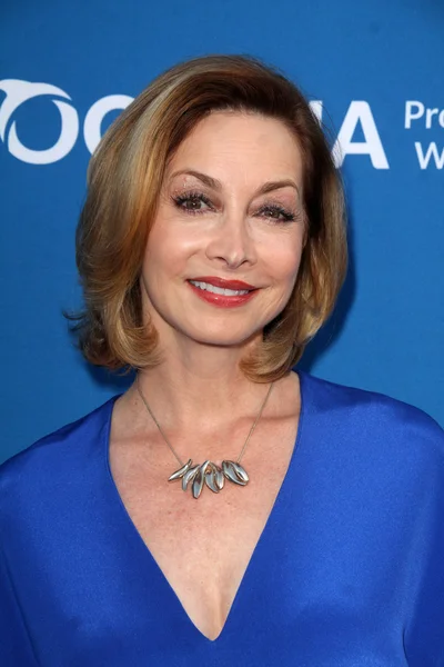 Sharon Lawrence - actriz, w —  Fotos de Stock