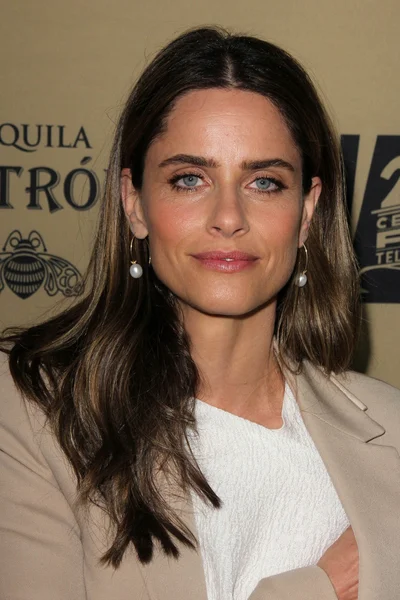 Amanda Peet - aktris, wom — Stok Foto