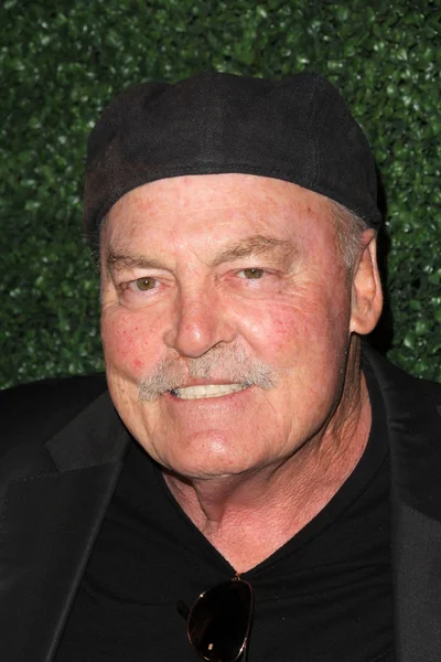 Stacy Keach az "igazság" — Stock Fotó