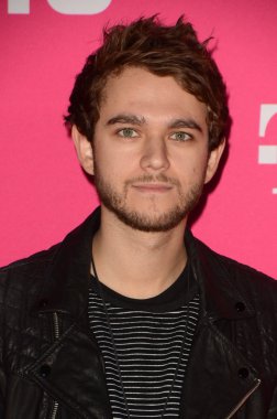 Zedd - musician, man