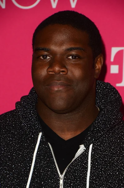 Sam Richardson - actor —  Fotos de Stock