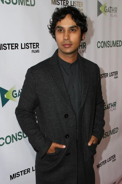 Kunal nayyar auf der "konsumierten" — Stockfoto