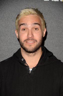 Pete Wentz - şarkıcı