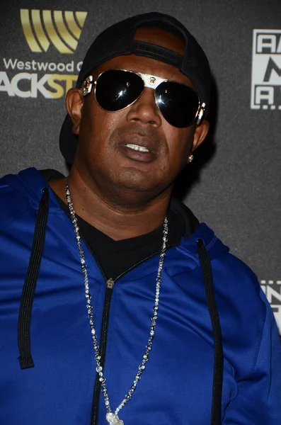 Master P - Rapper, hip-hop — Foto Stock