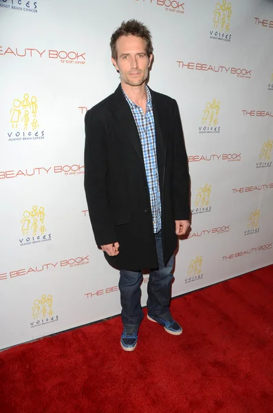 Michael Vartan at "The Beauty Book For Brain Cancer" — Stock Photo, Image