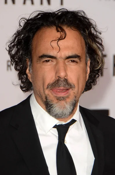 Alejandro Gonzalez Inarritu — Stock Photo, Image