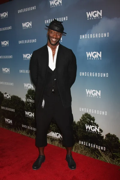 Aldis Hodge - actor — Foto de Stock