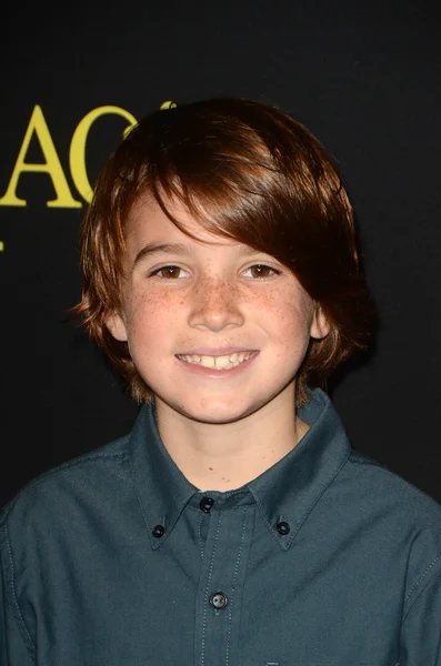 Aiden Lovekamp en el "Just Add Magic " — Foto de Stock