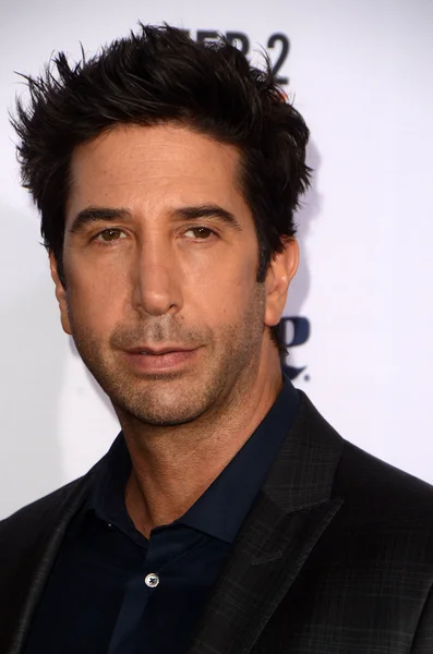 David Schwimmer at the American Crime Story — стокове фото