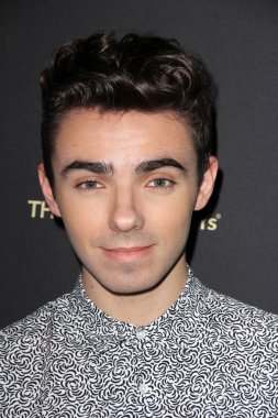 Nathan Sykes -  singer
