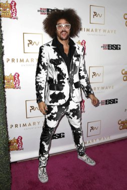 Redfoo - şarkıcı, adam