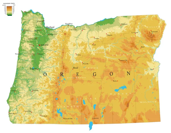Vysoce Podrobná Fyzická Mapa Oregonu Vektorovém Formátu Všemi Reliéfy Regiony — Stockový vektor