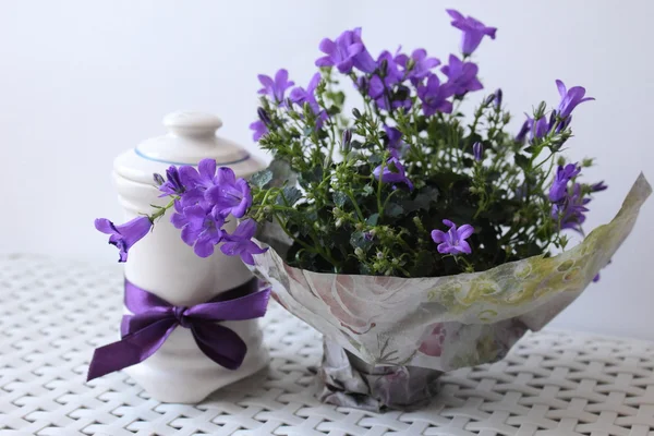 Bahar çiçek kompozisyon