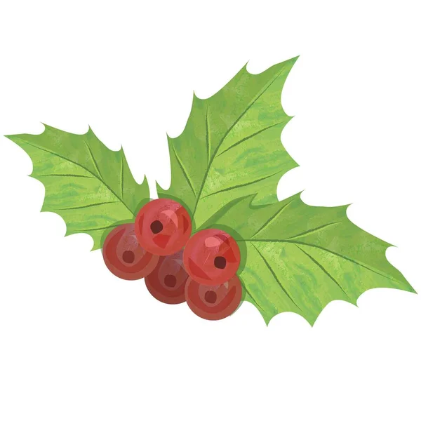 KRISTMAS MISTLETOE ILLUSTRERING. Ljust röd och grön design. — Stock vektor