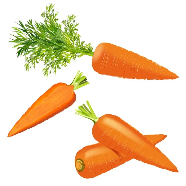 Zanahorias preparadas para pancartas, volantes. Zanahorias enteras, media zanahoria, zanahoria con tapas. Verduras frescas orgánicas y saludables, dietéticas y vegetarianas. Ilustración vectorial aislada sobre fondo blanco. — Vector de stock