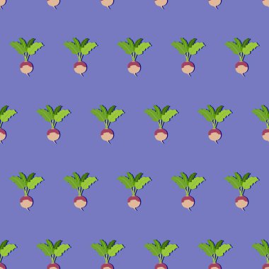 Mor üst beyaz şalgamların kusursuz deseni. Düz bir şalgam tarzı. Taze organik ve sağlıklı, diyet ve vejetaryen sebzeler. Mavi menekşe arkaplanda izole edilmiş vektör illüstrasyonu.