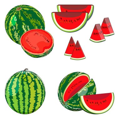 Set of sweet watermelons in cartoon style for banner, flyer, menu. Whole and sliced, half and quarter of a watermelon. Watermelon day. Fresh summer fruits and berries. Vector illustration.
