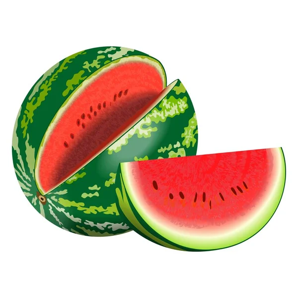 Delicious, juicy and sweet watermelon. Fresh summer fruits and berries. Whole and slice watermelon for banner, flyer, menu. Organic, healthy, vegetarian food. Watermelon day. Vector illustration. — Stok Vektör