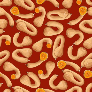 Seamless pattern with Dutch Crookneck Squash or Pennsylvania Dutch crookneck. Winter squash. Vegetables. Isolated vector illustration.