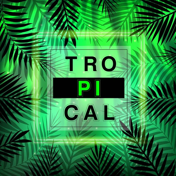 Fondo tropical de verano. Hojas de palma y marco . — Archivo Imágenes Vectoriales