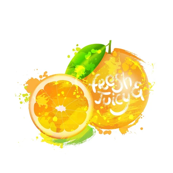Ilustración vectorial de naranja fresca . — Vector de stock