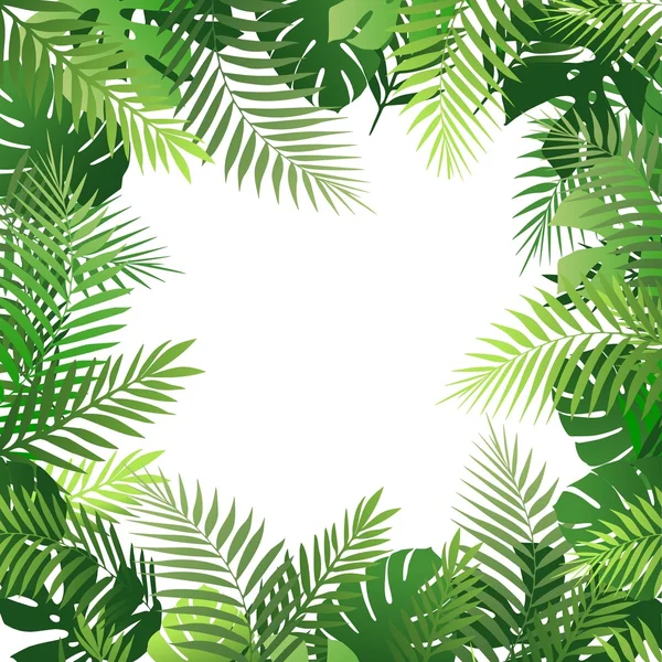 Summer tropical background with palm leaves — Stock Vector