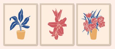 Botanik duvar sanat koleksiyonu. Egzotik bitkiler, zambak, laleler, saksıda yapraklar. Yaprak çizimi. İzler, kapak, ambalaj, kozmetik, logo için renkli minimal, soyut tasarım