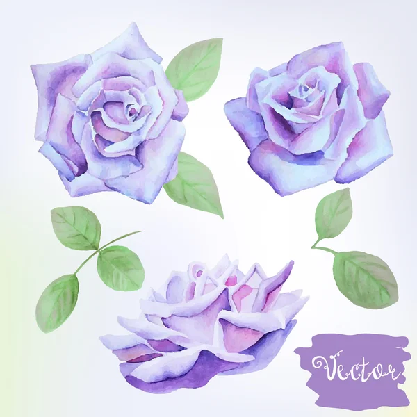 Roses fleurs et feuilles ensemble — Image vectorielle