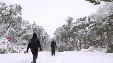  Kar, Madrid 'deki Casa de Campo parkında, devrilmiş ağaçların arasında yürüyen insanlarla kaplıydı. Filomena fırtınası sırasında kar yağıyor. 
