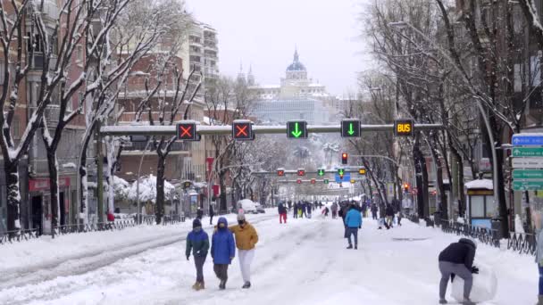 马德里的大街小巷被雪覆盖 交通信号灯和大教堂 Catedral Almudena 作为背景 而人们则在步行 菲洛梅娜风暴期间的打滚 — 图库视频影像