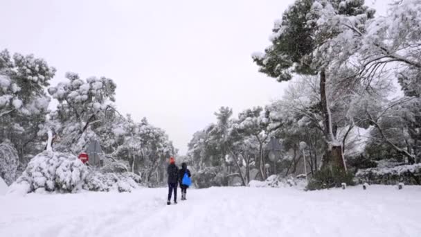 マドリードのカーサ カンポ公園の雪に覆われた道で 倒木の間を歩く人々 フィロメナの嵐の間の雪 — ストック動画