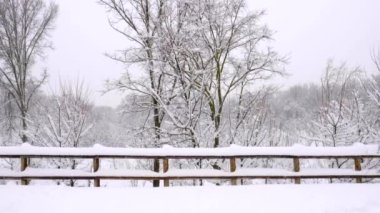 Madrid 'deki Casa de Campo parkında kar, ahşap çitler ve ağaçlarla kaplıydı. Filomena fırtınası sırasında kar yağışıweather forecast. 