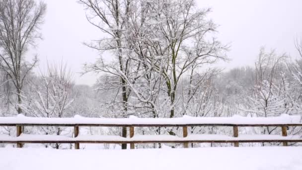 マドリードのカーサ カンポ公園の木製の柵や木で覆われた風景 フィロメナ嵐の間の雪 — ストック動画
