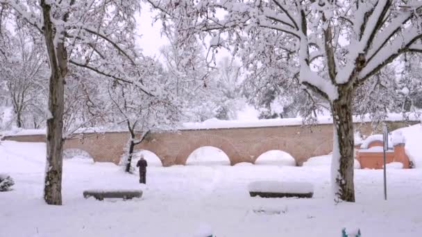 Акведук Acueducto Sabatini Мадридском Парке Casa Campo Покрытом Снегом Девушкой — стоковое видео