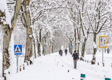 Madrid 'deki Casa de Campo parkında karla kaplı bir sokakta ağaçlar ve insanlar yürüyor. Filomena fırtınası sırasında kar yağıyor. 