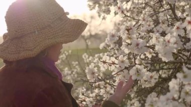Gün batımında Madrid 'deki tarlada açan badem ağaçlarının kokusunu ve dallarına dokunan bir kadın.. 