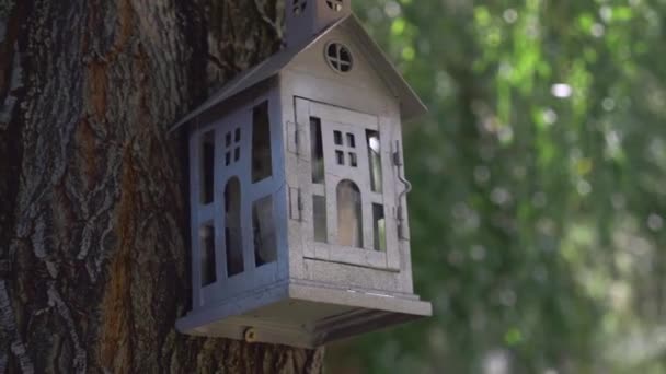 Klein Decoratief Huis Hangend Aan Een Boomstam — Stockvideo