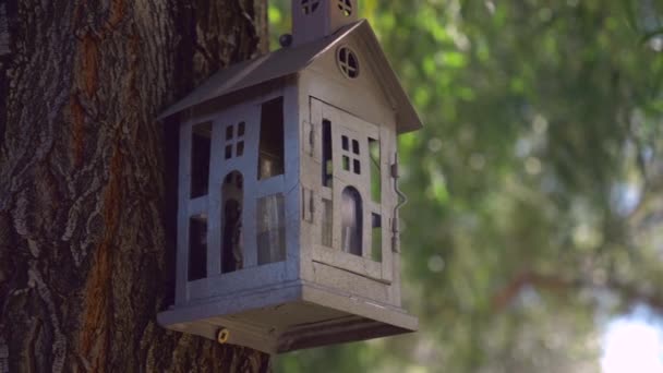 幹から吊るされた小さな装飾用の家 — ストック動画