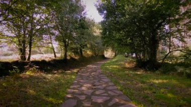 Güneşli bir bahar gününde, Muros de Nalon 'da (Asturias, İspanya), ağaçlar ve bitkilerin arasında, bir patika boyunca yürümek. Yeşil ve kahverengi tonlar.