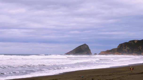 Rivage Une Plage Avec Sable Mer Montagnes Par Une Journée — Video