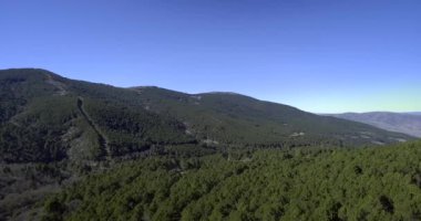Drone baharda bir dağdaki bir ormanın ağaçlarının üzerinden ateş etti. Çam ormanının havadan görünüşü. 
