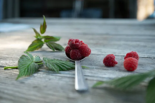 Ood Frutas Baga Mirtilo Café Manhã Verão Amora — Fotografia de Stock