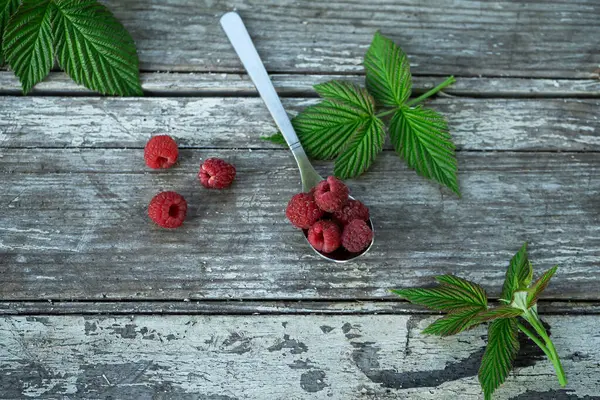 Yiyecek, meyve, böğürtlen, yaban mersini, kahvaltı böğürtlen yazı