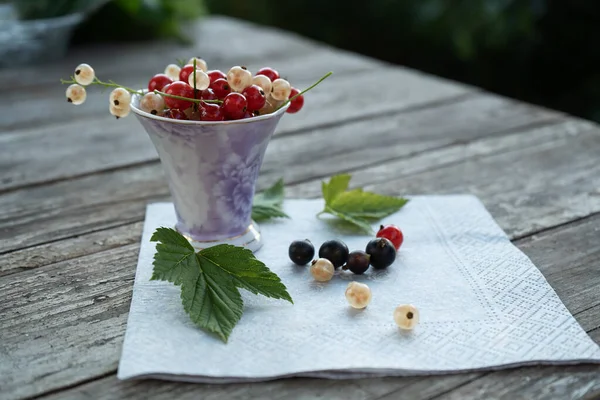 Yiyecek, meyve, böğürtlen, yaban mersini, kahvaltı böğürtlen yazı