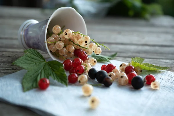 Yiyecek, meyve, böğürtlen, yaban mersini, kahvaltı böğürtlen yazı