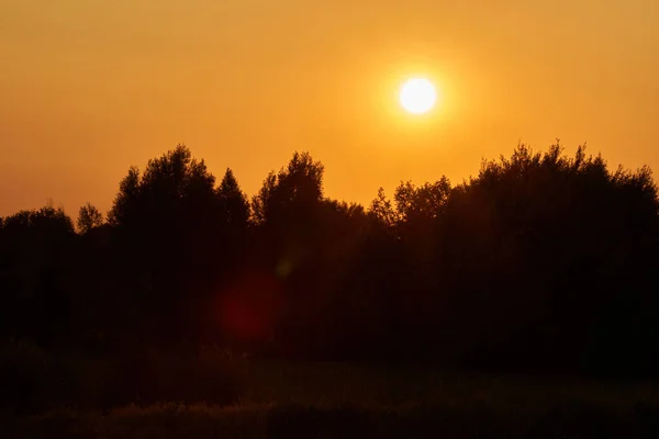Яркое Солнце Садится Линию Деревьев Оранжевое Вечернее Небо Деревья Видны — стоковое фото