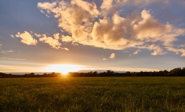 Akşamları güzel bir gün batımı, mavi gökyüzüne karşı gri bulutlar, ön planda yeşil çayır, tarlanın derinliği. Almanya, Ostfildern.